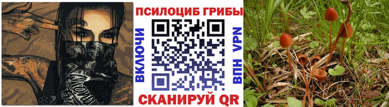 Галлюциногенные грибы GOLDEN TEACHER  Рославль 