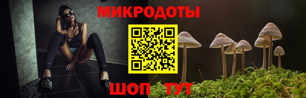 Галлюциногенные грибы Psilocybe  купить наркоту  Рославль  Вход с VPN 